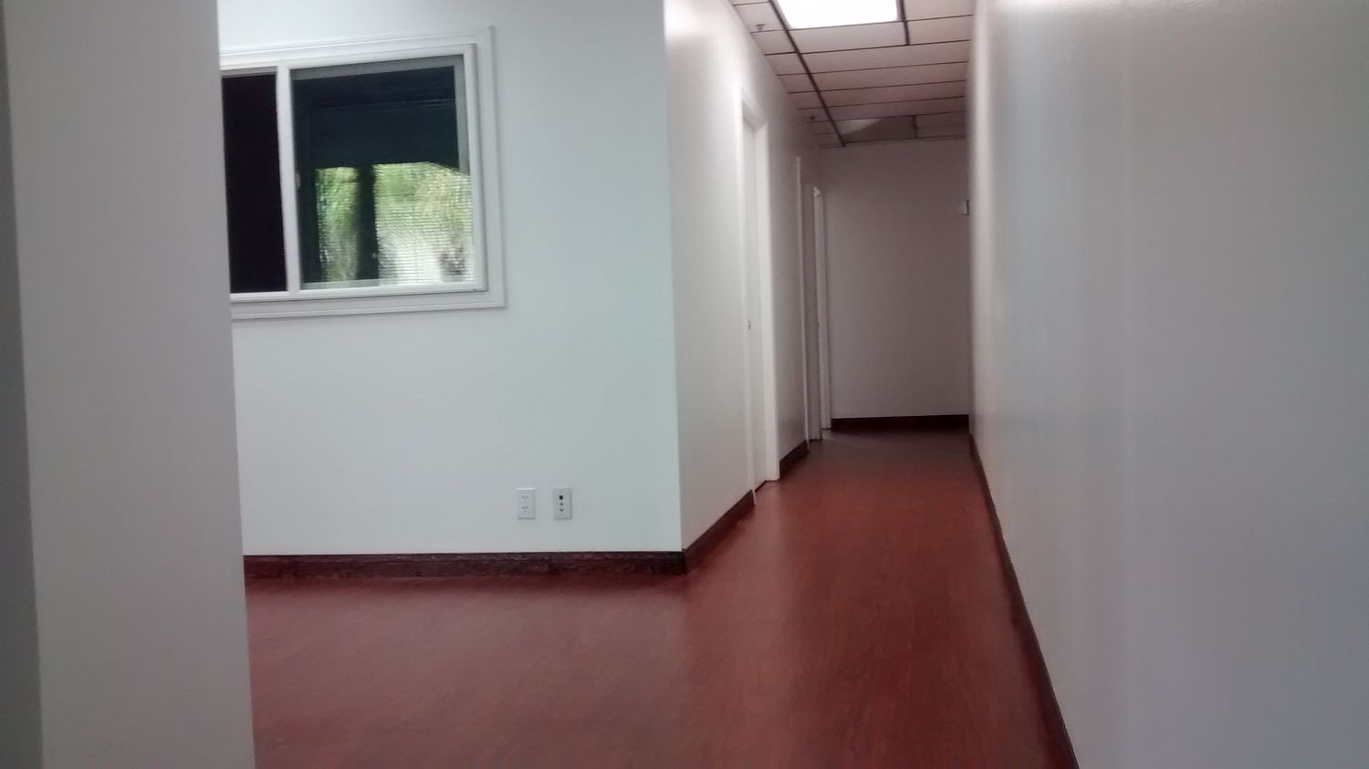 STYLISH OFFICE, TILE RECEPTION AND NEW WOOD FLOORING, BEST MOVE-IN SPECIAL